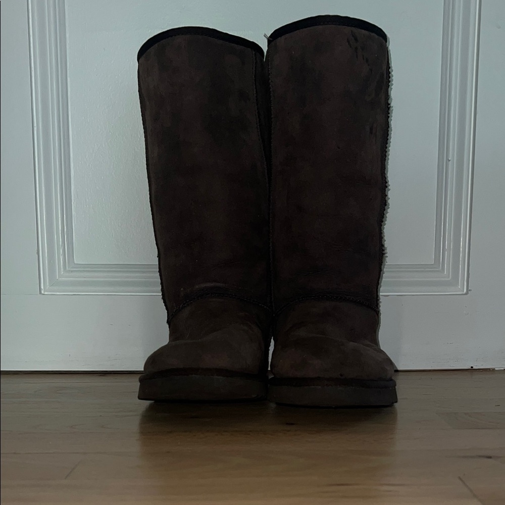 Brown UGG Suede Tall Boots